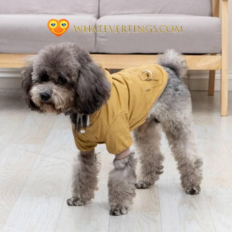 www.whatevertings.com