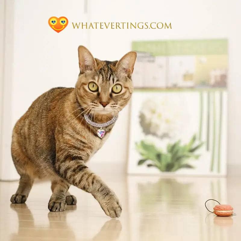 www.whatevertings.com